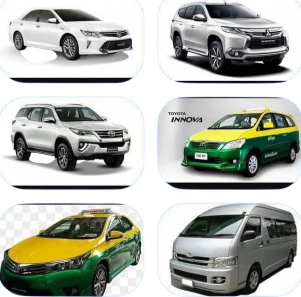 บริการรับ-ส่งสัตว์เลี้ยงที่น่ารัก